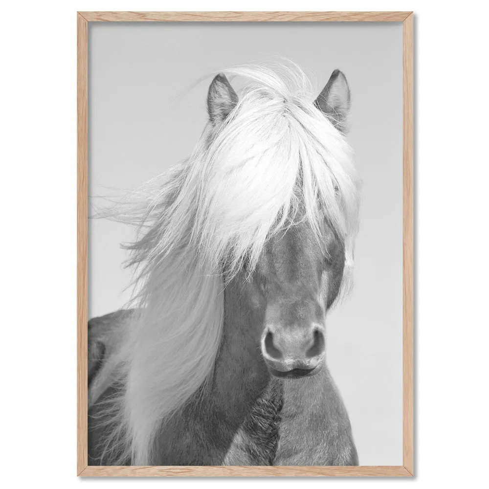 Horse Portrait in Black & White - Art Print