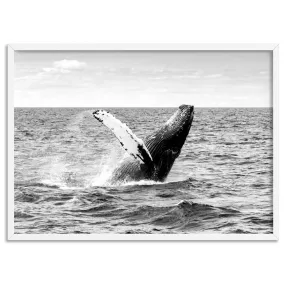 Humpback Whale Breach Landscape II - Art Print