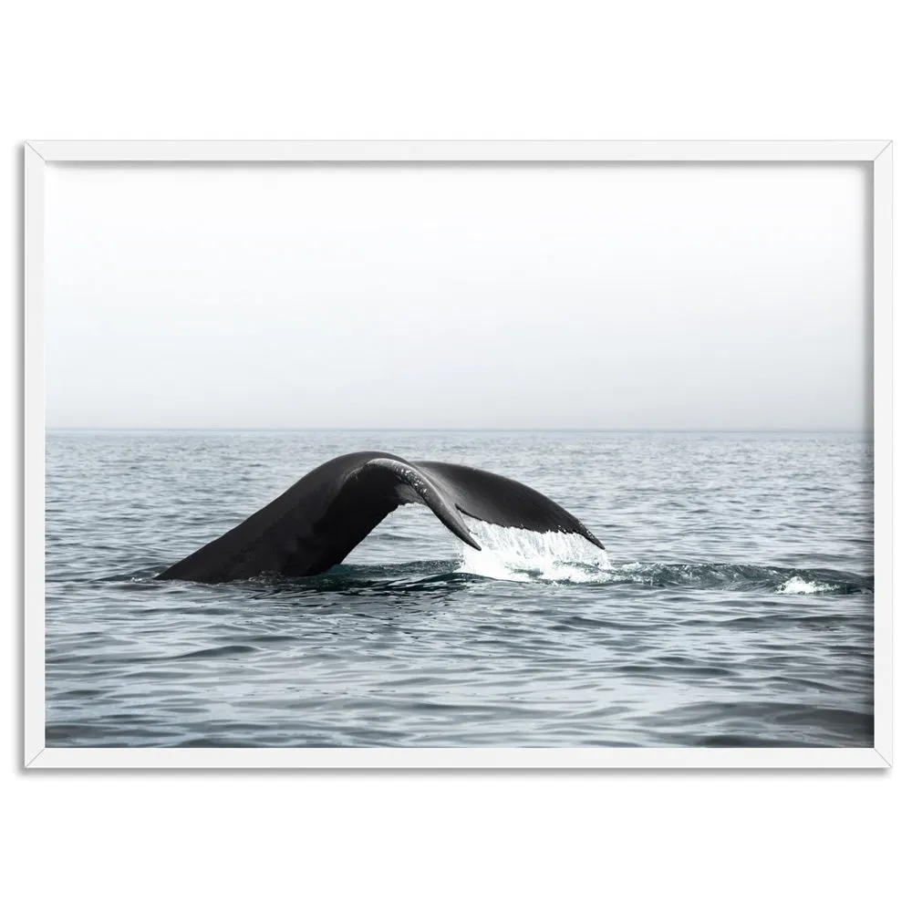 Humpback Whale Tail III Landscape - Art Print