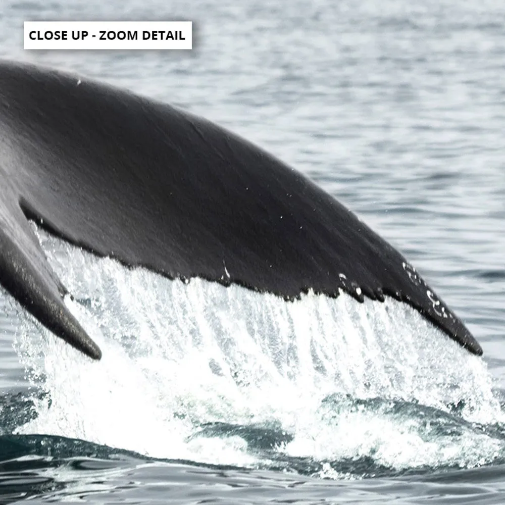 Humpback Whale Tail III Landscape - Art Print
