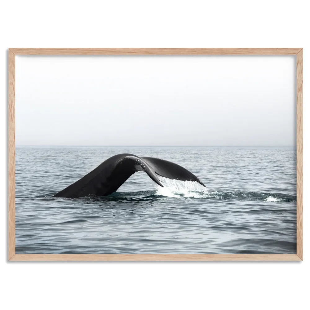 Humpback Whale Tail III Landscape - Art Print