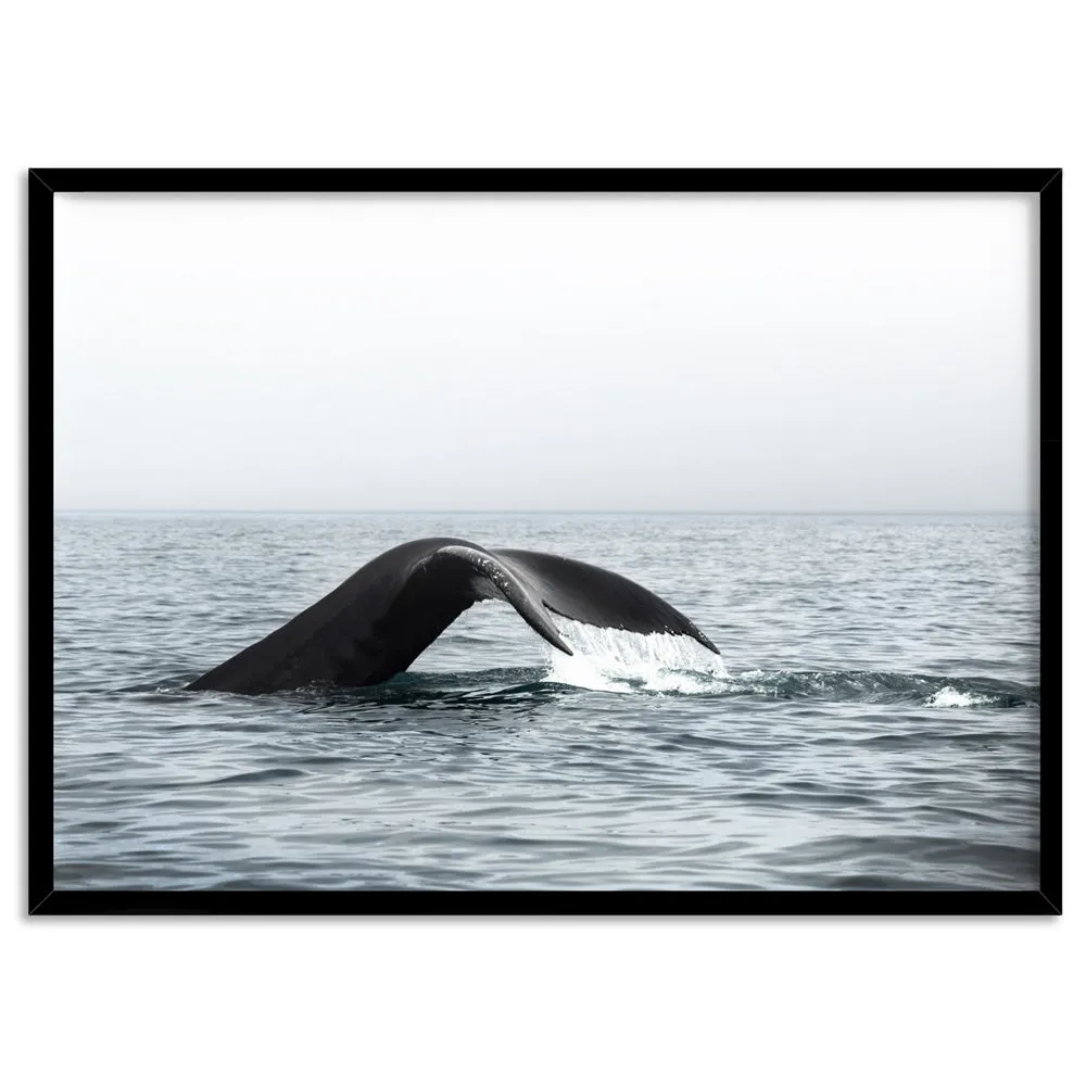 Humpback Whale Tail III Landscape - Art Print