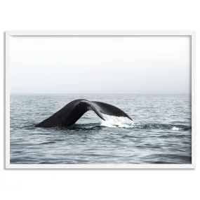 Humpback Whale Tail III Landscape - Art Print