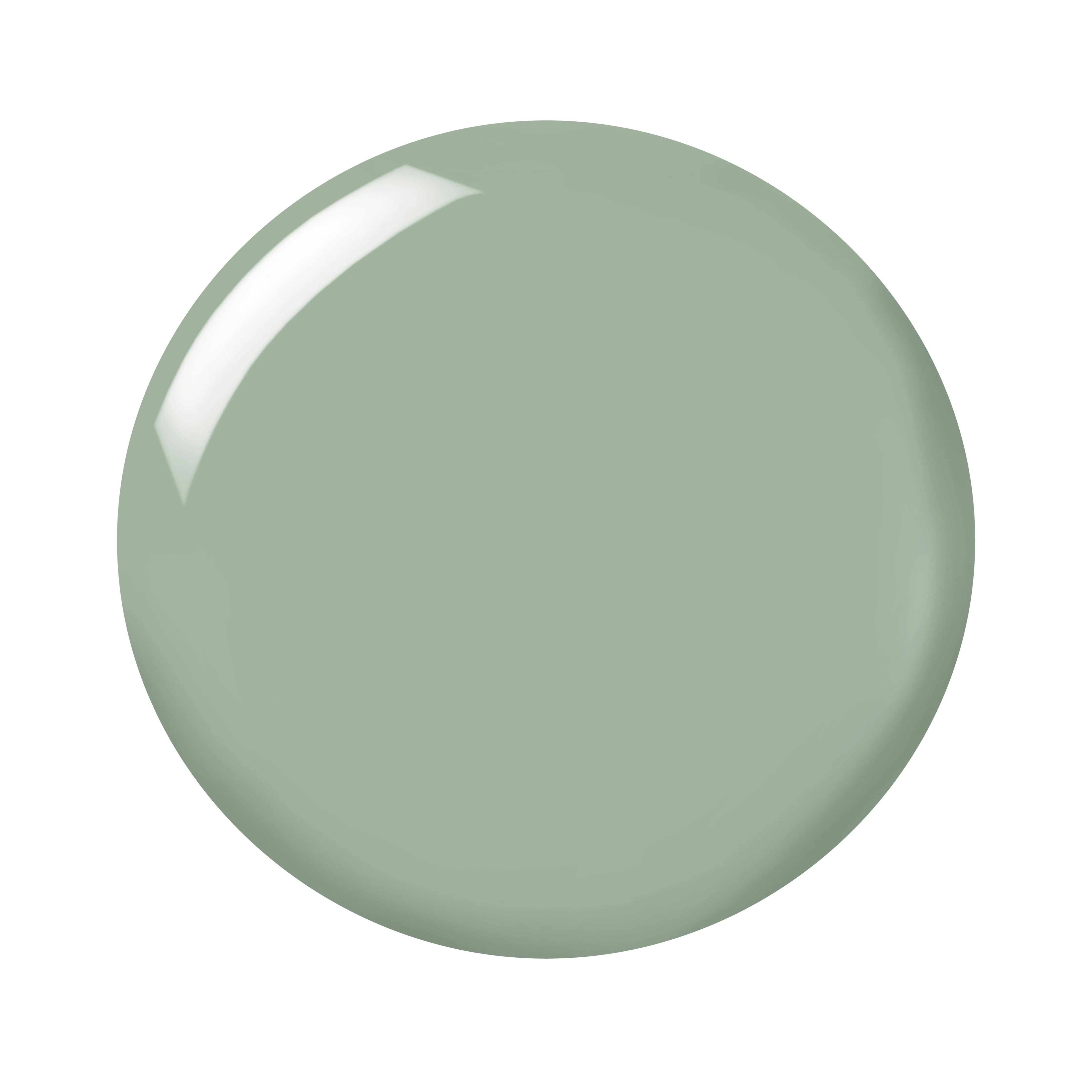 In A Flash Quick Dry Nail Paint | Go Go Green