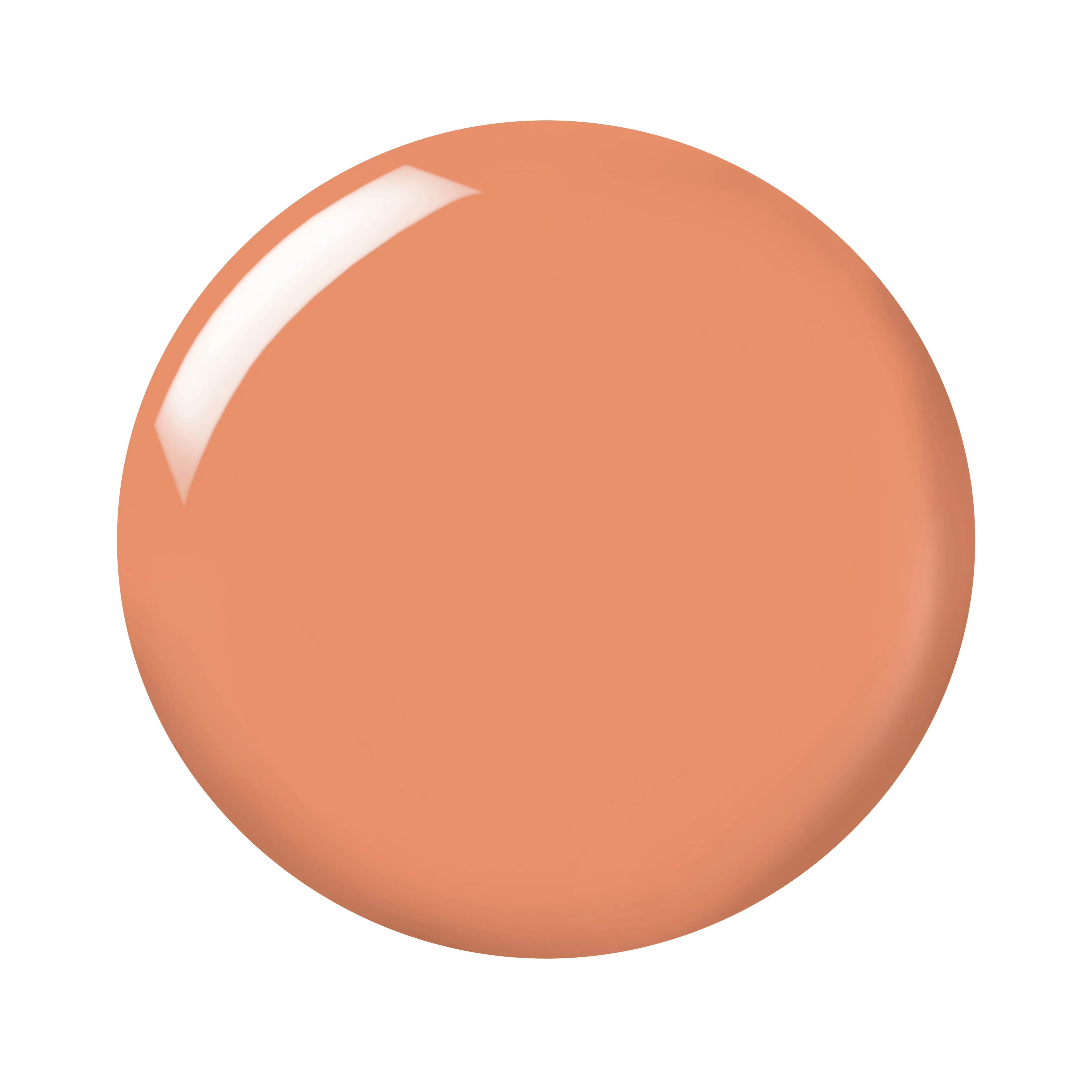 In A Flash Quick Dry Nail Paint | Turbo Terracotta