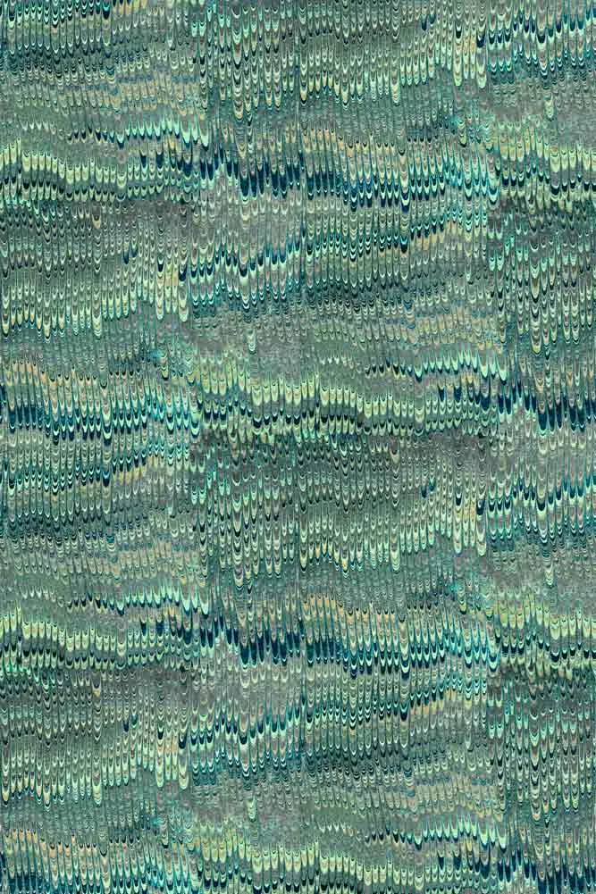 Poodle & Blonde 1970 Oceano Wallpaper