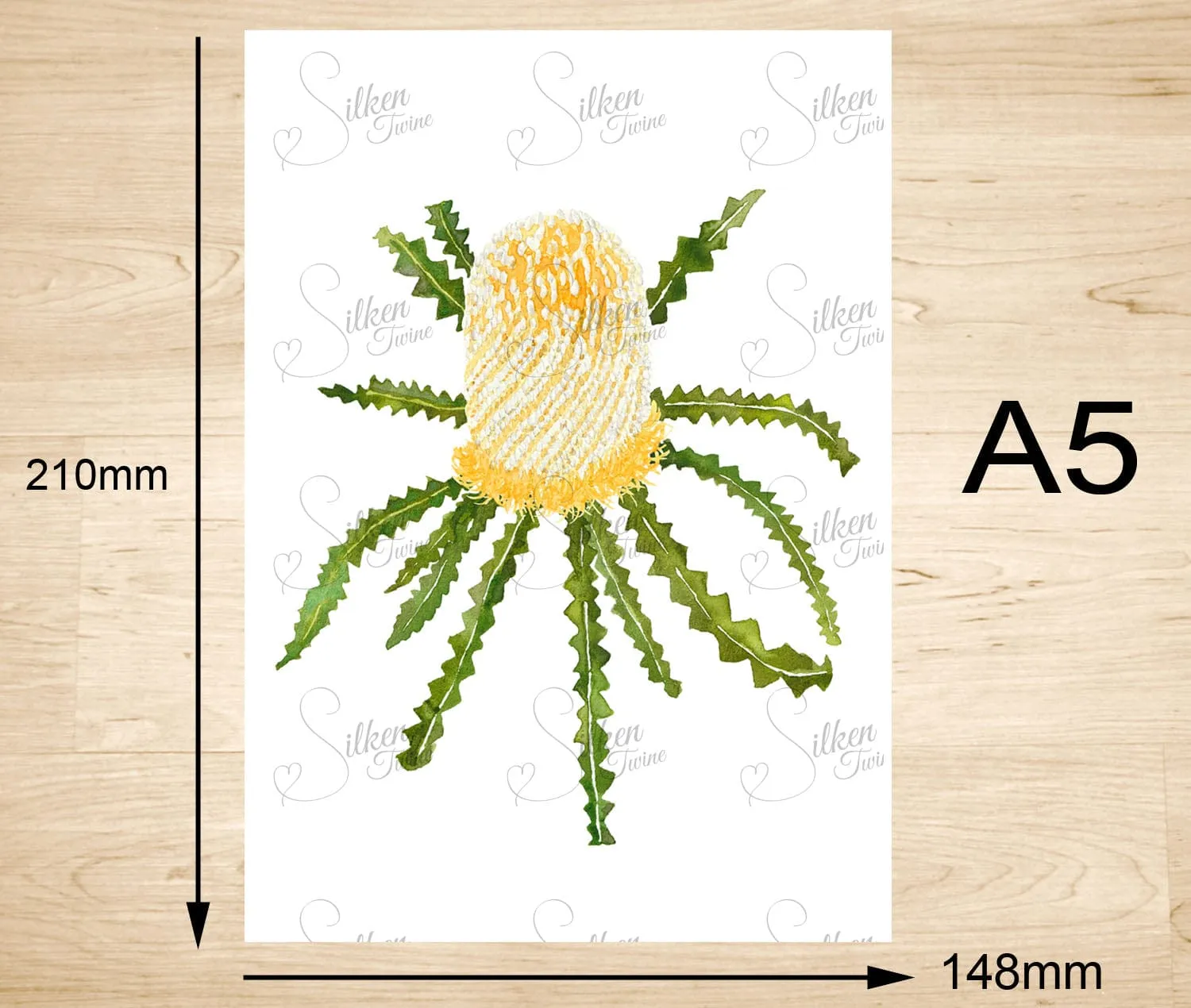 Showy Banksia Art Print